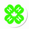 RUSSELL COUNTY CIRCLE LOGO STICKER - Image 2